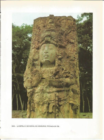 LAMINA 27358: Estela H de Copan, Honduras