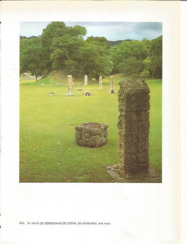 LAMINA 27357: Patio de ceremonias de Copan, Honduras