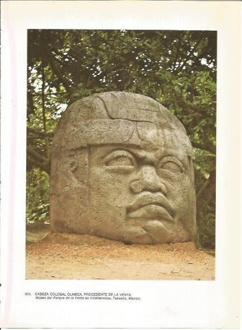 LAMINA 27348: Cabeza colosal olmeca