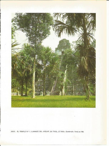 LAMINA 27362: Templo del Jaguar en Tikal, Guatemala