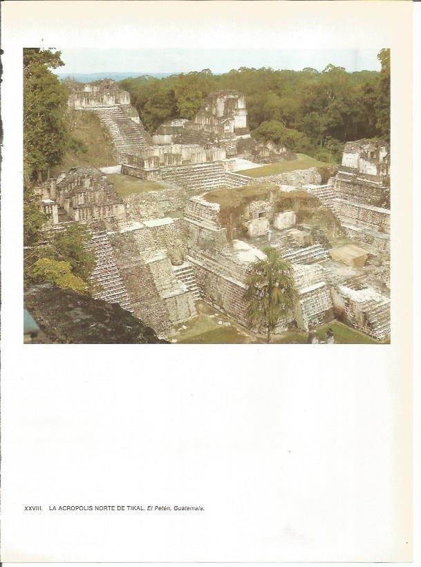 LAMINA 27363: Acropolis norte de Tikal. Guatemala