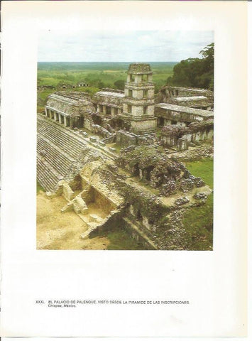 LAMINA 27366: Palacio del Palenque en Chiapas, Mexico