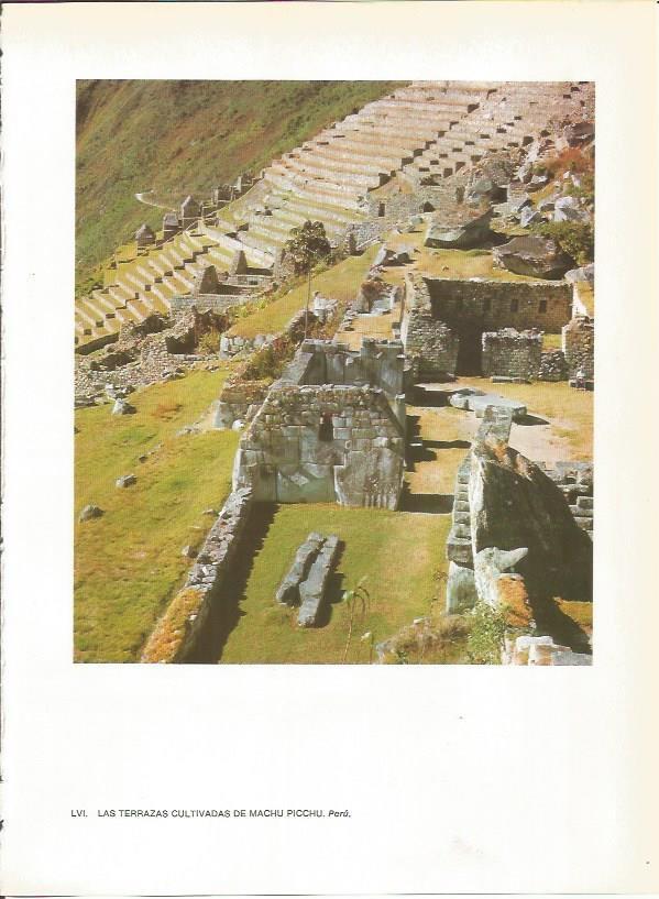 LAMINA 27391: Terrazas cultivadas de Machu Picchu, Peru
