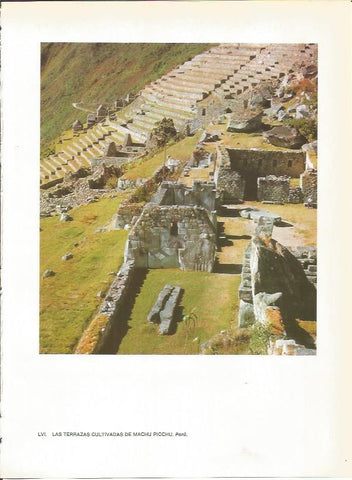 LAMINA 27391: Terrazas cultivadas de Machu Picchu, Peru