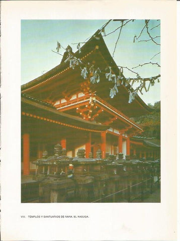 LAMINA 27514: El Kasuga de Nara, Japon