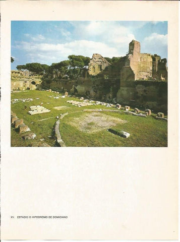 LAMINA 27464: Hipodromo de Domiciano, Roma