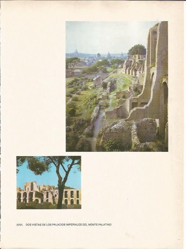 LAMINA 27475: Palacios del Monte Palatino de Roma