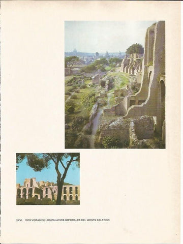 LAMINA 27475: Palacios del Monte Palatino de Roma