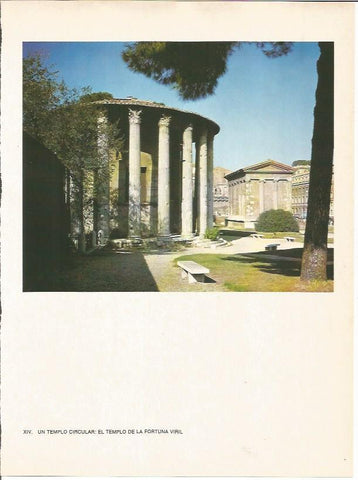 LAMINA 27463: Templo circular de la Fortuna Viril, Roma
