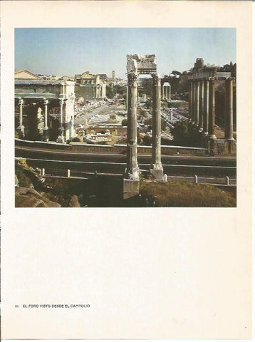 LAMINA 27452: El Foro desde el Capitolio, Roma