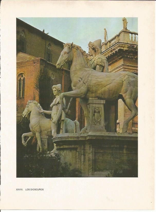 LAMINA 27477: Los Dioscuros, Roma