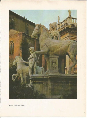 LAMINA 27477: Los Dioscuros, Roma