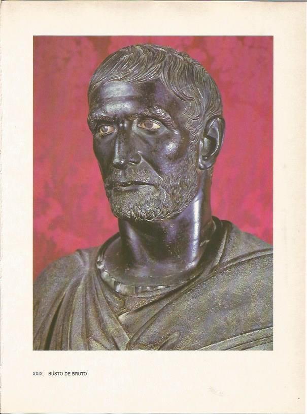 LAMINA 27478: Busto de Bruto