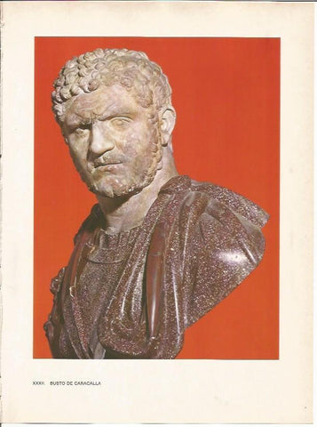 LAMINA 27481: Busto de Caracalla