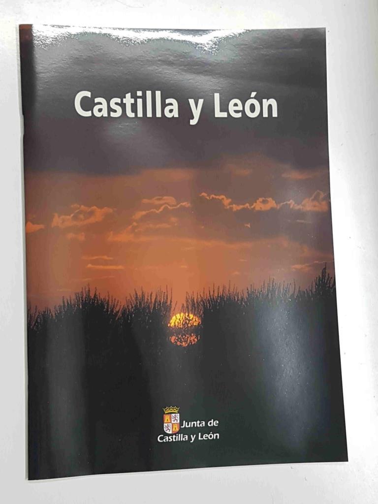 Castilla y Leon. Informacion sobre la comunidad autonoma, sus ciudades, patrimonio, castillos, costumbres y fiestas