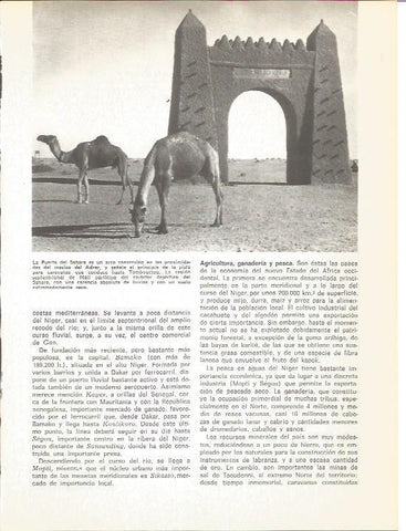 LAMINA V01688: La Puerta del Sahara, Mali