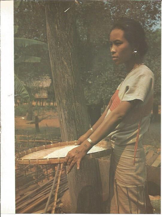 LAMINA V01755: Mujer seleccionando arroz en Chiang