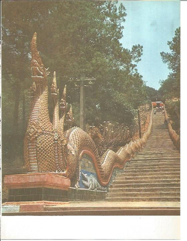LAMINA V01758: Escalinatas del templo Wat Phra Tadt Sutep