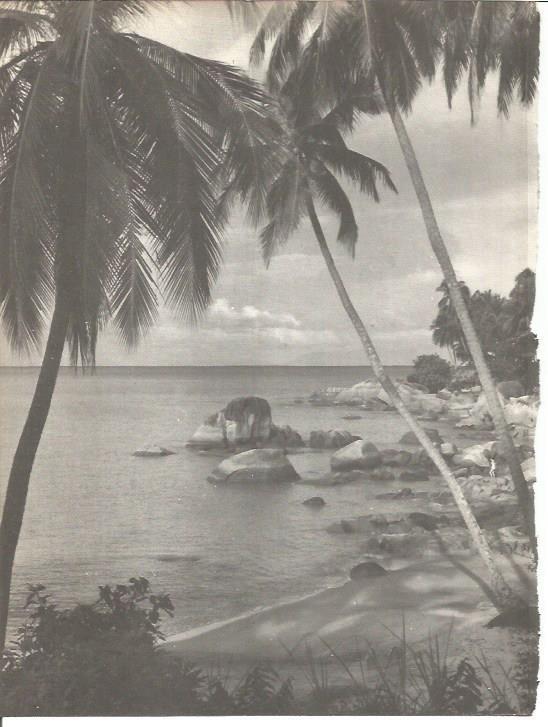 LAMINA V01732: Playa en la isla de Penang, Malaca