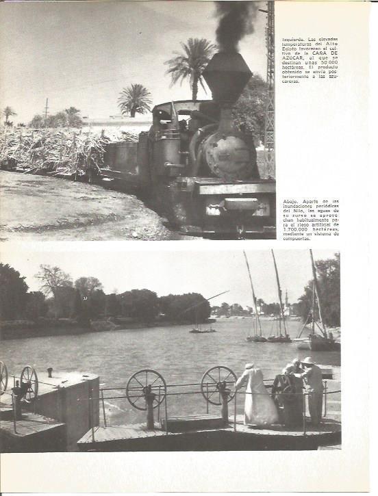 LAMINA V01625: Vistas cultivo del azucar y margenes del rio Nilo en Egipto