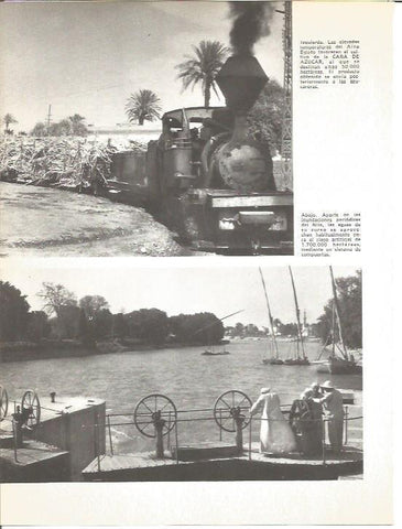 LAMINA V01625: Vistas cultivo del azucar y margenes del rio Nilo en Egipto