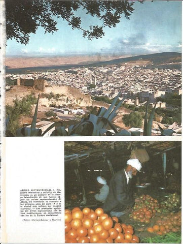LAMINA V01585: Vistas de Fez y productos agricolas, Marruecos