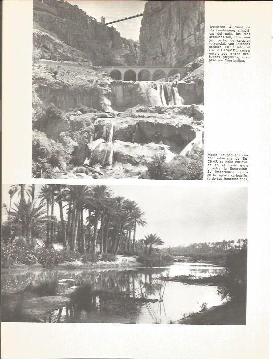 LAMINA V01591: Vistas del Rio Rhummel y Bechar