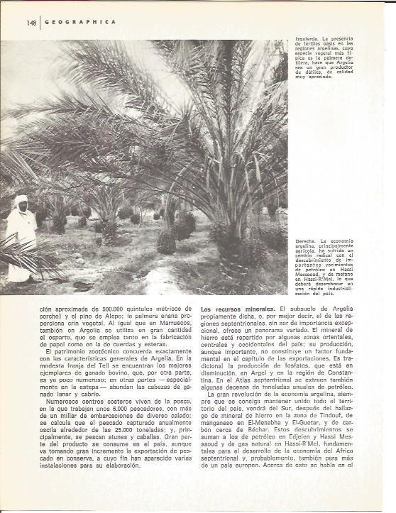 LAMINA V01595: Vista de un oasis