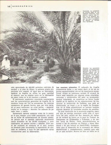 LAMINA V01595: Vista de un oasis