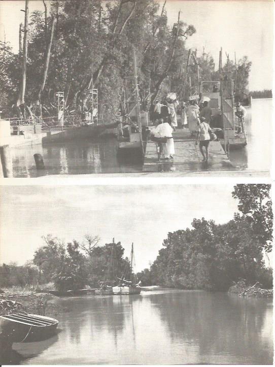 LAMINA V01664: Vistas del rio Gambia