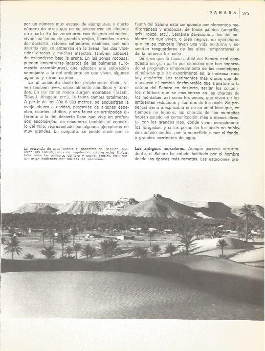 LAMINA V01642: Vista aerea de un oasis