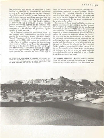 LAMINA V01642: Vista aerea de un oasis