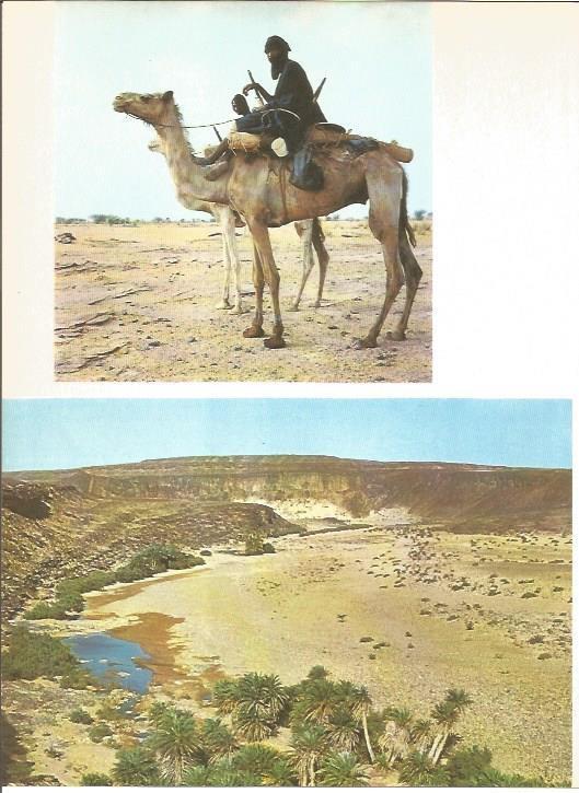 LAMINA V01643: Tuaregs en el desierto