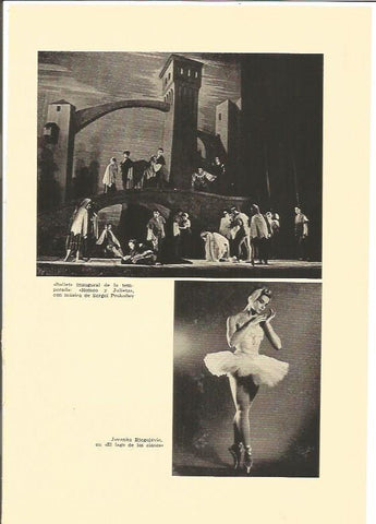 LAMINA V01932: Jovanka Bjegojevic 