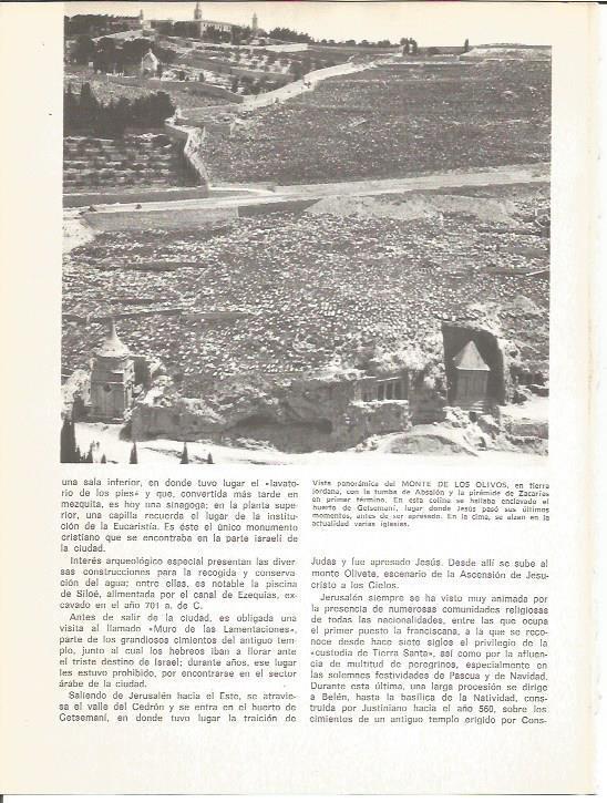 LAMINA V01806: Monte de los Olivos, Jordania