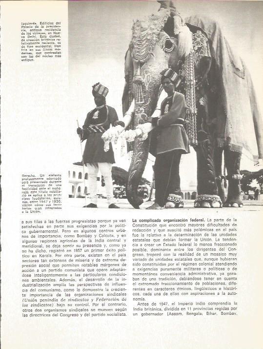 LAMINA V01823: Elefante adornado