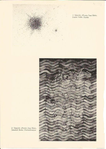 LAMINA V01850: Premio Joan Miro 1970 por Jean Marc Narvaez