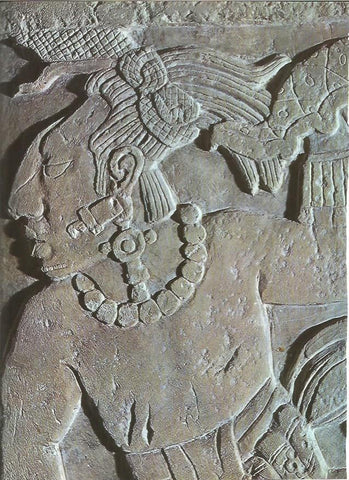 LAMINA V01231: Joven sacerdote maya