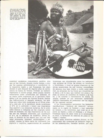 LAMINA V01565: Jefe zulu de Sudafrica