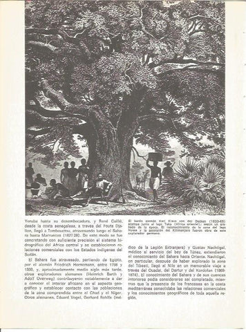 LAMINA V01558: Grabado del baron K.K. von der Decken acampando en lago Teka