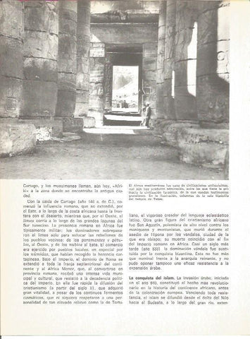 LAMINA V01574: Columnas de la sala hipostila de Tebas, Egipto