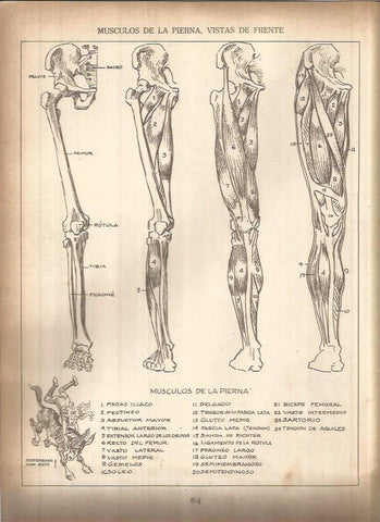 LAMINA V01430: Lamina 20
