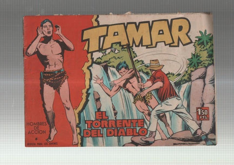 Toray: Tamar numero 5: El torrente del diablo