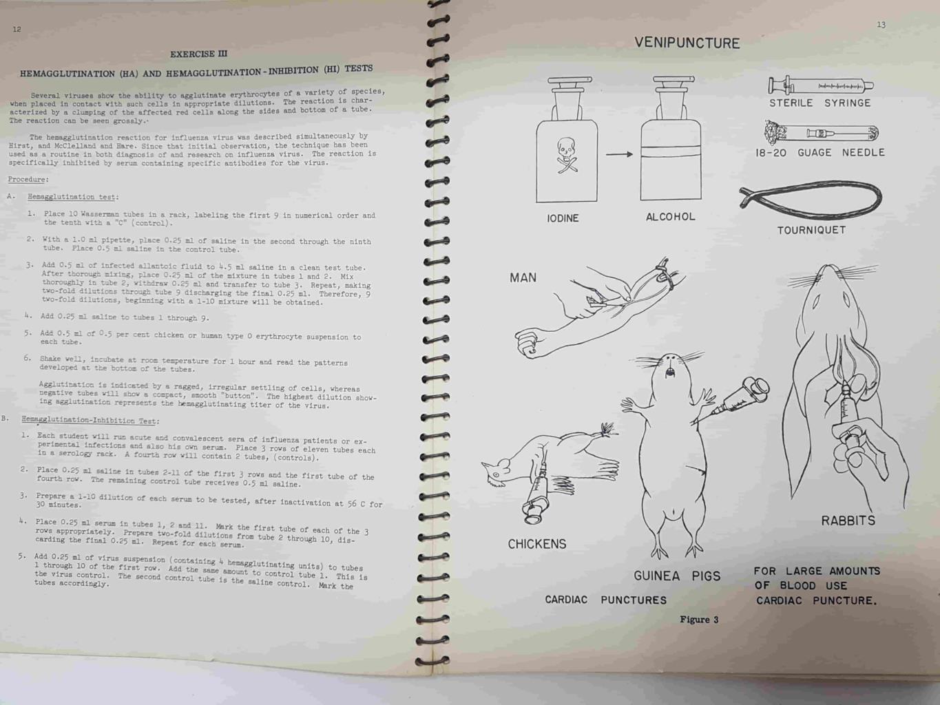 A Manual of Medical Virology by S.S. Kalter and J.E. Prier