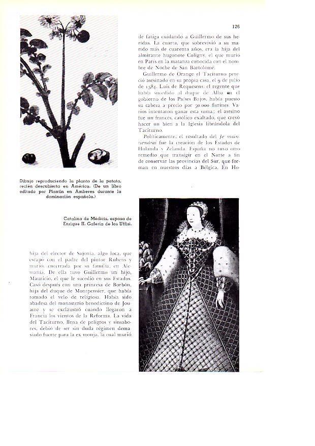 LAMINA 28115: Catalina de Medicis