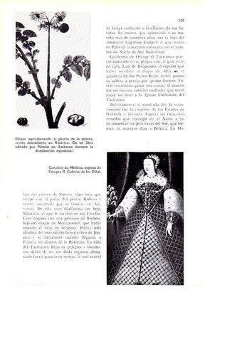 LAMINA 28115: Catalina de Medicis