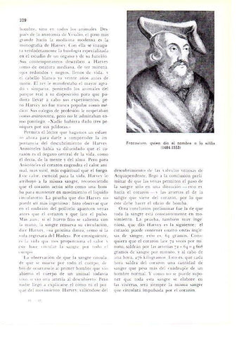 LAMINA 28157: Fracasioro, quien dio nombre a la sifilis