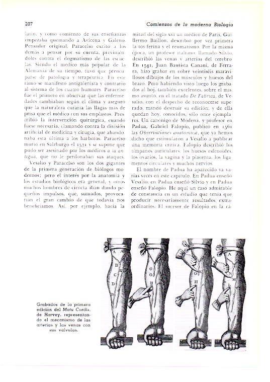LAMINA 28156: Grabados del Motu Cordis de Harvey