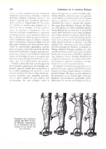 LAMINA 28156: Grabados del Motu Cordis de Harvey