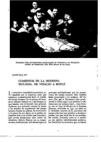 LAMINA 28154: Leccion de anatomia, por Rembrandt